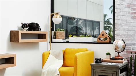 hampton cat friendly|1,213 Cat Friendly Apartments in Hampton, VA Page 2.